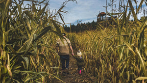 Man and child walking through a corn field holding hands